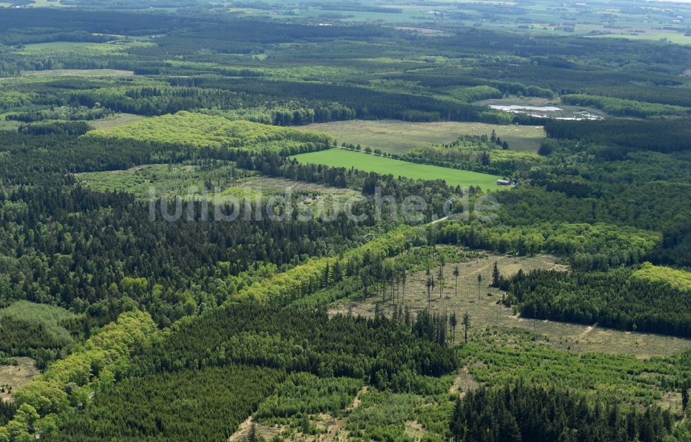 Aakirkeby von oben - Baumspitzen in einem Waldgebiet in Aakirkeby in Region Hovedstaden, Dänemark