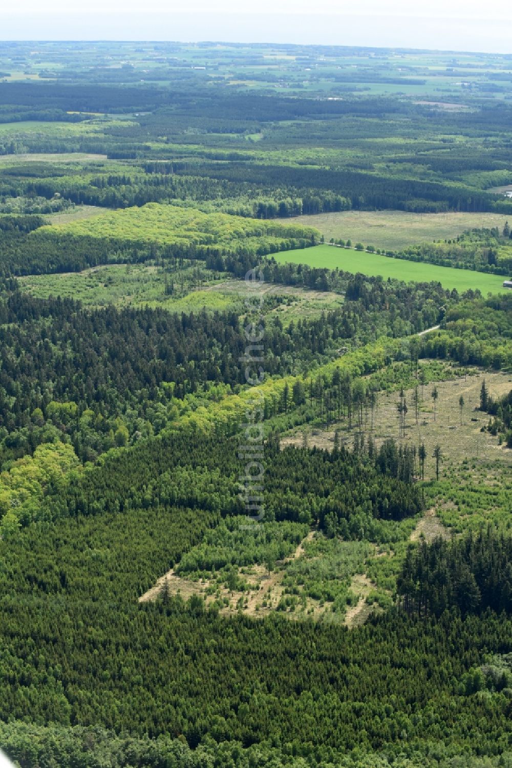 Aakirkeby aus der Vogelperspektive: Baumspitzen in einem Waldgebiet in Aakirkeby in Region Hovedstaden, Dänemark