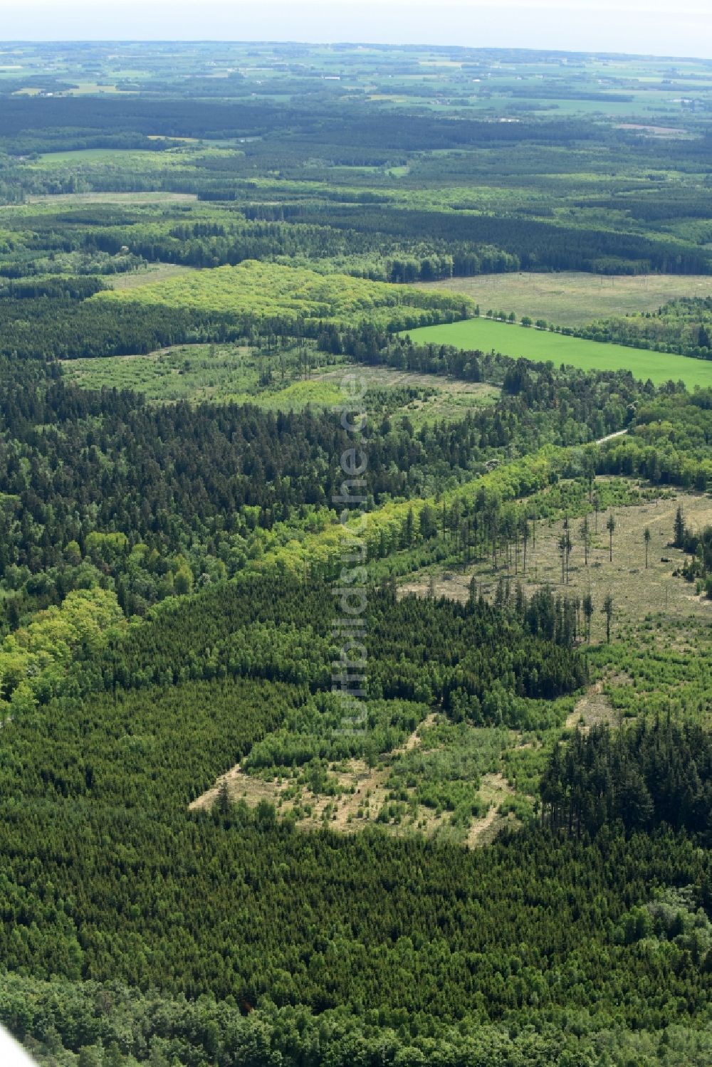 Luftbild Aakirkeby - Baumspitzen in einem Waldgebiet in Aakirkeby in Region Hovedstaden, Dänemark