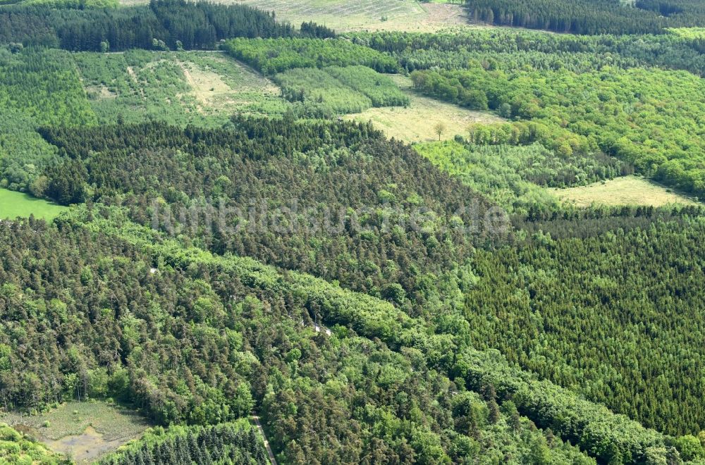 Luftaufnahme Aakirkeby - Baumspitzen in einem Waldgebiet in Aakirkeby in Region Hovedstaden, Dänemark