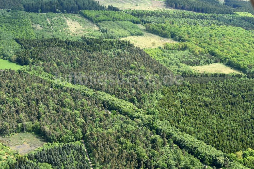 Aakirkeby von oben - Baumspitzen in einem Waldgebiet in Aakirkeby in Region Hovedstaden, Dänemark