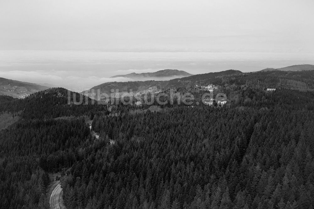 Bühlertal von oben - Baumspitzen in einem Waldgebiet in Bühlertal im Bundesland Baden-Württemberg