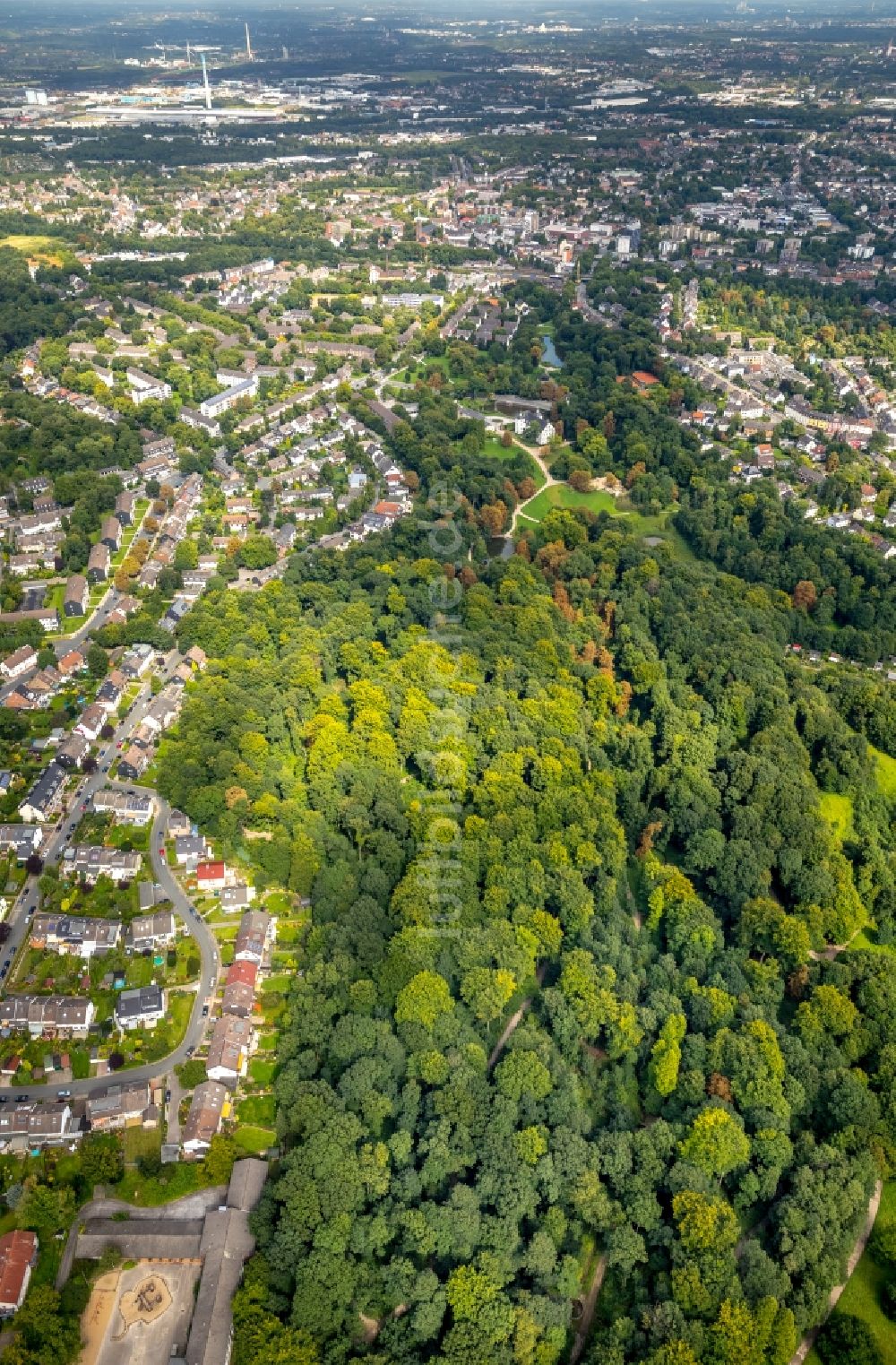 Luftbild Essen - Baumspitzen in einem Waldgebiet in Essen im Bundesland Nordrhein-Westfalen - NRW, Deutschland