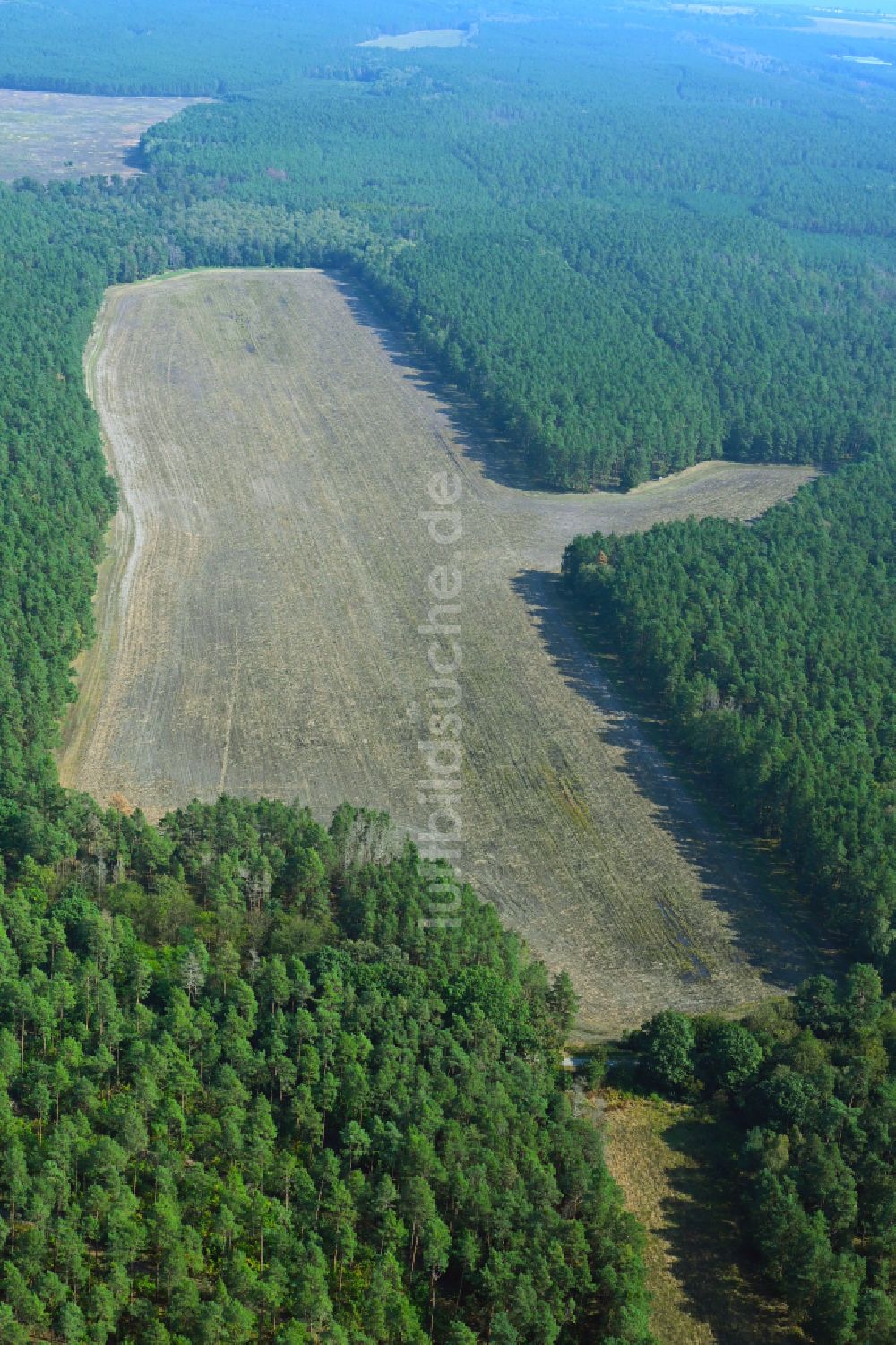 Luftaufnahme Pechhütte - Baumspitzen in einem Waldgebiet an einer feldartigen Waldlichtung in Pechhütte im Bundesland Brandenburg, Deutschland