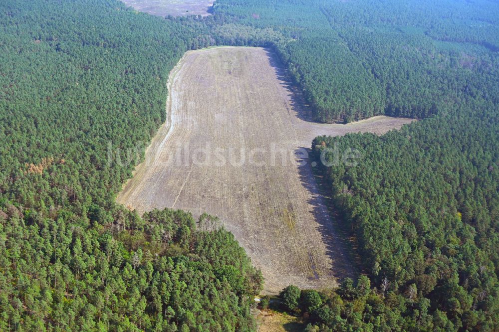 Pechhütte von oben - Baumspitzen in einem Waldgebiet an einer feldartigen Waldlichtung in Pechhütte im Bundesland Brandenburg, Deutschland