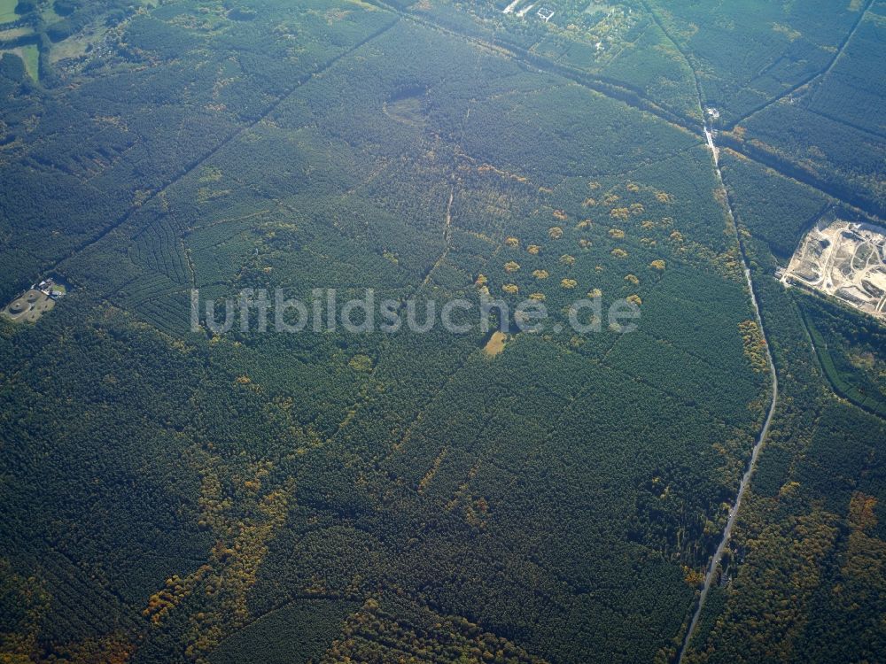 Luftaufnahme Potsdam - Baumspitzen in einem Waldgebiet des Forst Potsdam Süd an der Michendorfer Chaussee in Potsdam im Bundesland Brandenburg