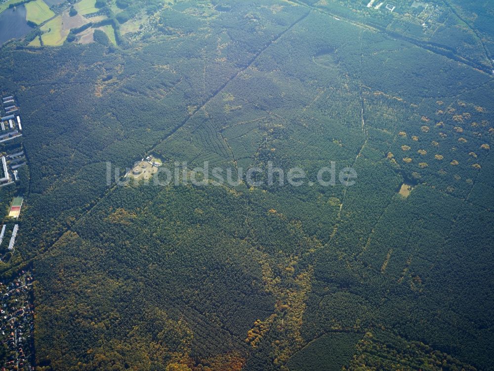 Potsdam von oben - Baumspitzen in einem Waldgebiet des Forst Potsdam Süd an der Straße Ravensberggestell in Potsdam im Bundesland Brandenburg