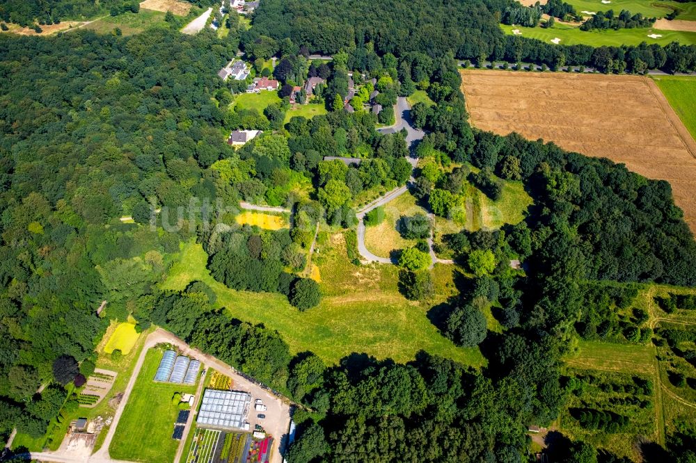 Luftbild Gelsenkirchen - Baumspitzen in einem Waldgebiet in Gelsenkirchen im Bundesland Nordrhein-Westfalen