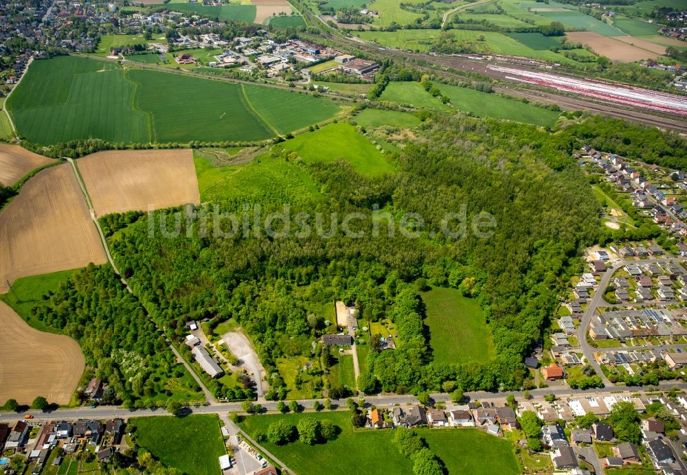 Luftaufnahme Hamm - Baumspitzen in einem Waldgebiet in Hamm im Bundesland Nordrhein-Westfalen