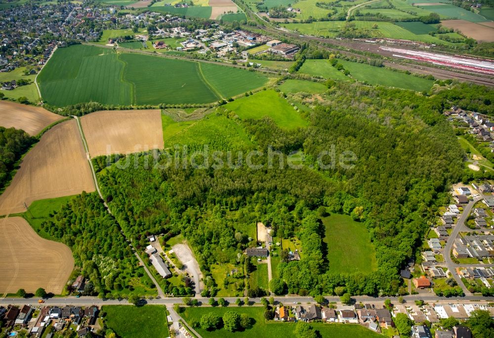 Hamm von oben - Baumspitzen in einem Waldgebiet in Hamm im Bundesland Nordrhein-Westfalen