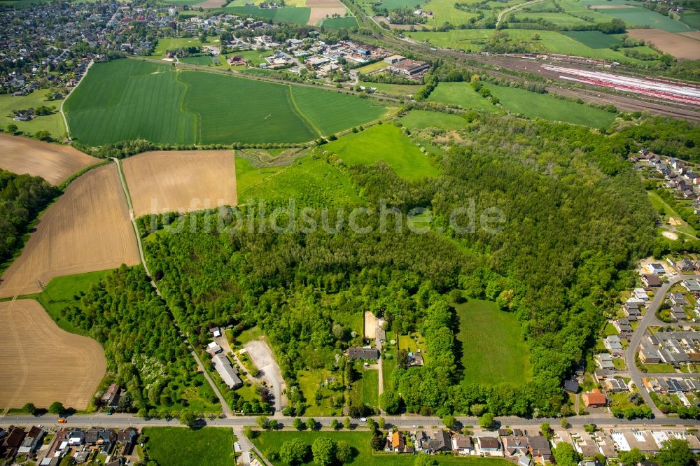 Hamm aus der Vogelperspektive: Baumspitzen in einem Waldgebiet in Hamm im Bundesland Nordrhein-Westfalen