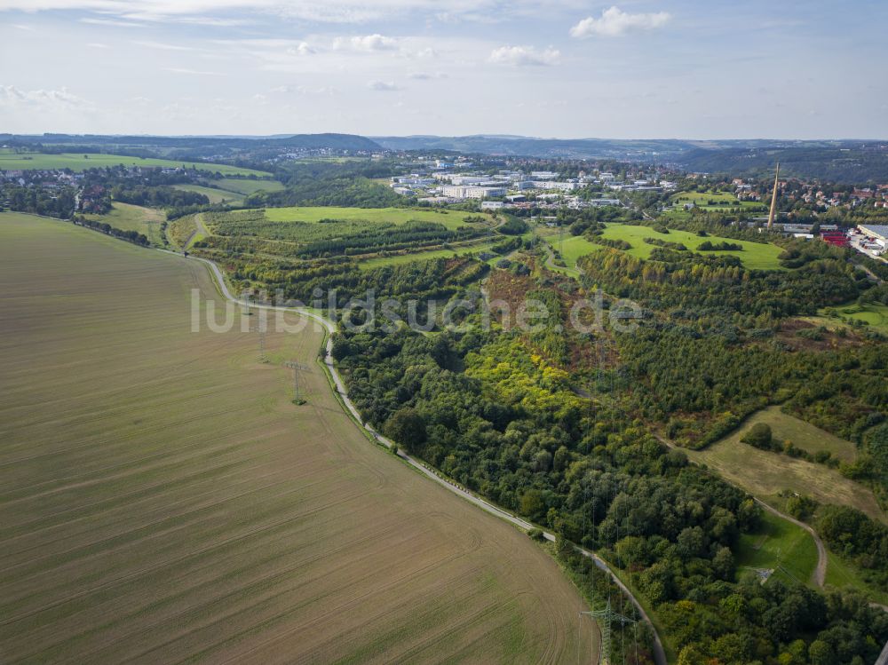 Luftaufnahme Dresden - Baumspitzen in einem Waldgebiet Kaitzer Höhe in Dresden im Bundesland Sachsen, Deutschland