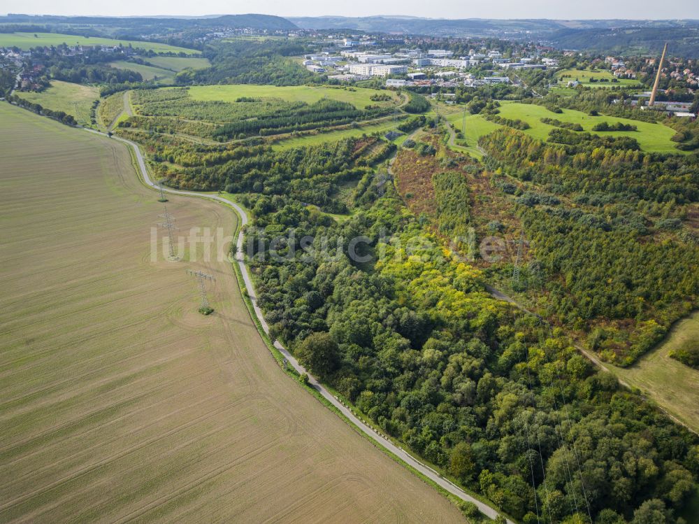 Dresden von oben - Baumspitzen in einem Waldgebiet Kaitzer Höhe in Dresden im Bundesland Sachsen, Deutschland