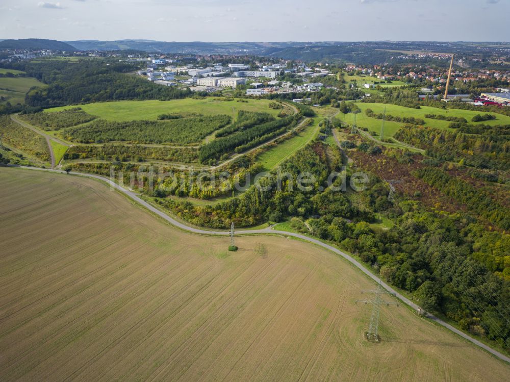 Dresden aus der Vogelperspektive: Baumspitzen in einem Waldgebiet Kaitzer Höhe in Dresden im Bundesland Sachsen, Deutschland