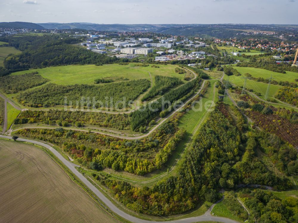 Luftbild Dresden - Baumspitzen in einem Waldgebiet Kaitzer Höhe in Dresden im Bundesland Sachsen, Deutschland