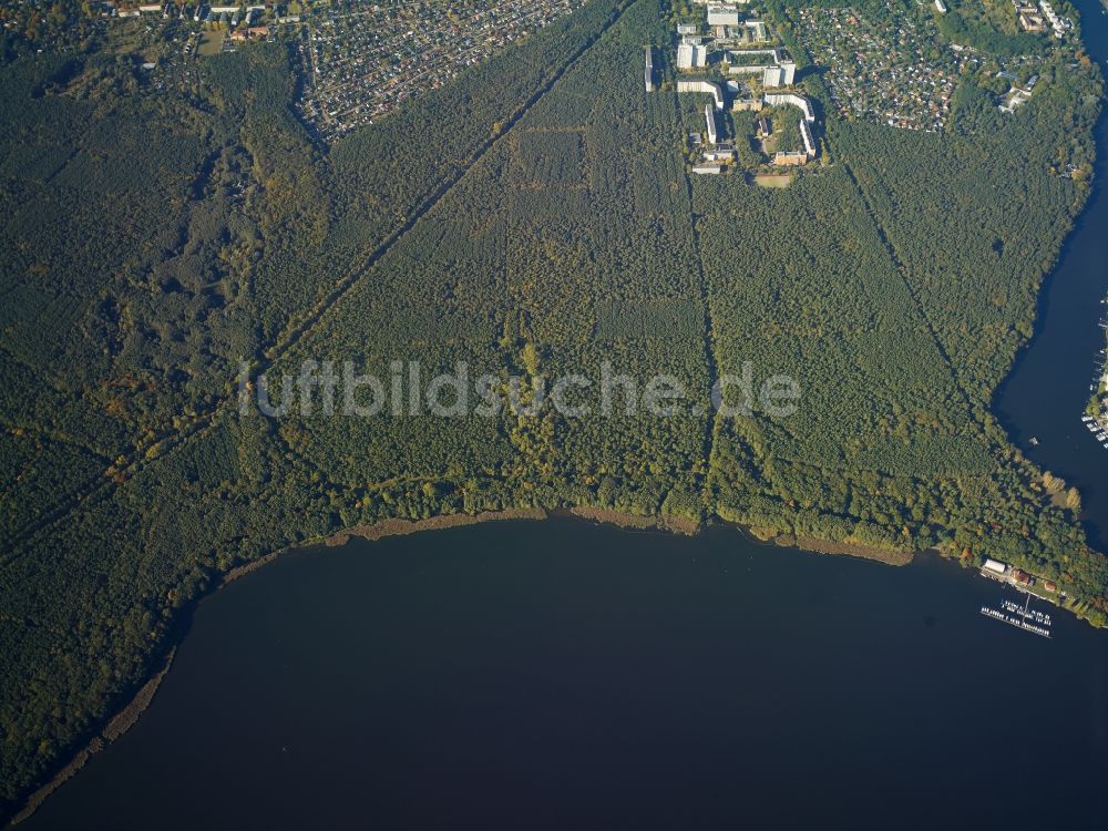 Berlin von oben - Baumspitzen in einem Waldgebiet an der Mündung der Müggelspree in den Großen Müggelsees in Berlin