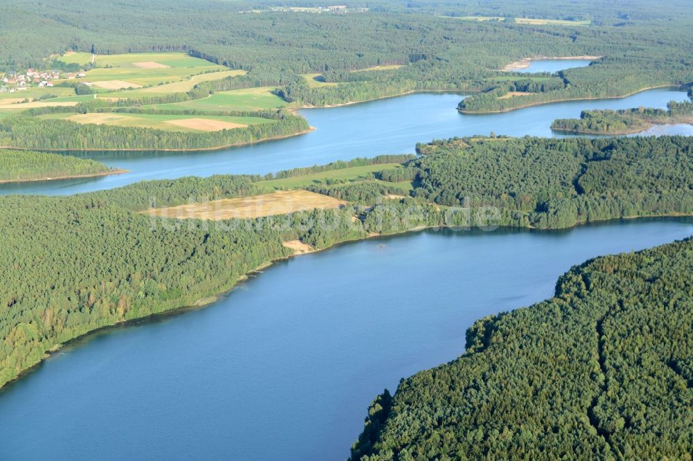 Luftaufnahme Neunburg vorm Wald - Baumspitzen in einem Waldgebiet in Neunburg vorm Wald im Bundesland Bayern