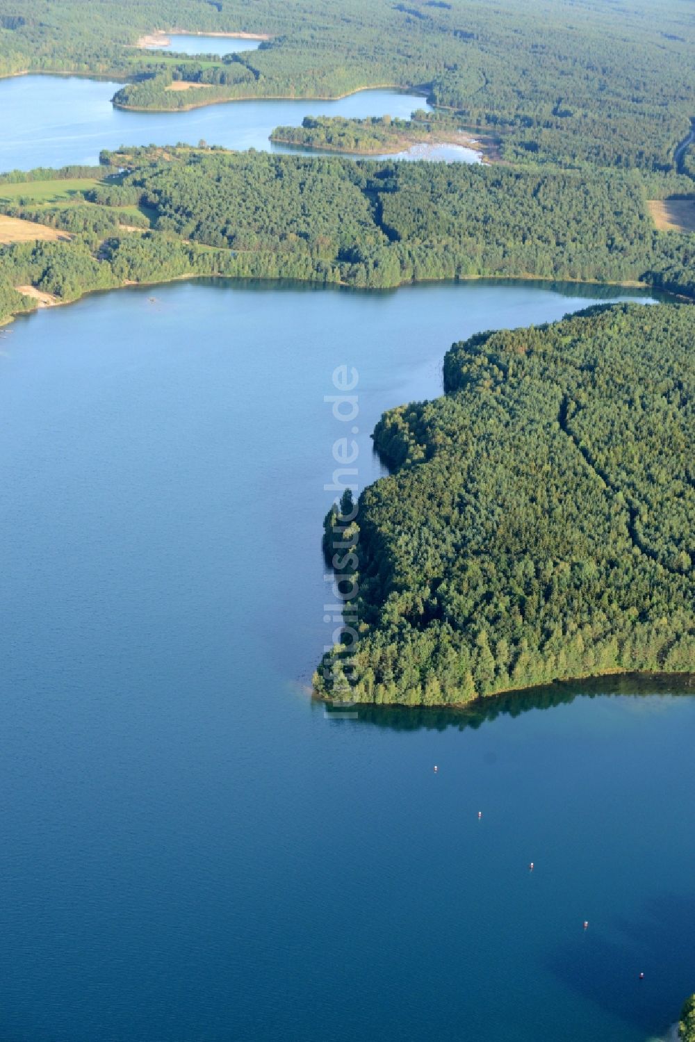 Neunburg vorm Wald von oben - Baumspitzen in einem Waldgebiet in Neunburg vorm Wald im Bundesland Bayern