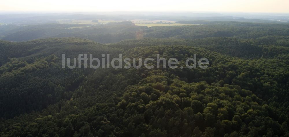 Oderberg von oben - Baumspitzen in einem Waldgebiet in Oderberg im Bundesland Brandenburg