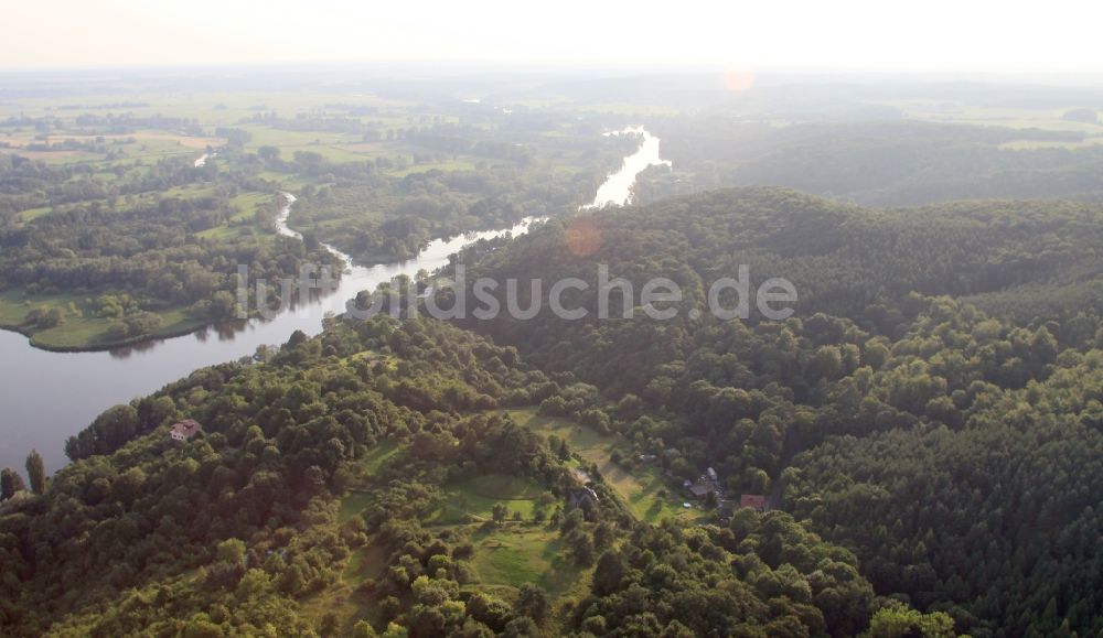 Oderberg aus der Vogelperspektive: Baumspitzen in einem Waldgebiet in Oderberg im Bundesland Brandenburg