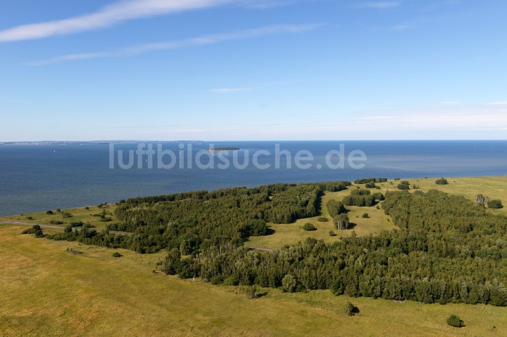 Luftaufnahme Peenemünde - Baumspitzen in einem Waldgebiet in Peenemünde im Bundesland Mecklenburg-Vorpommern