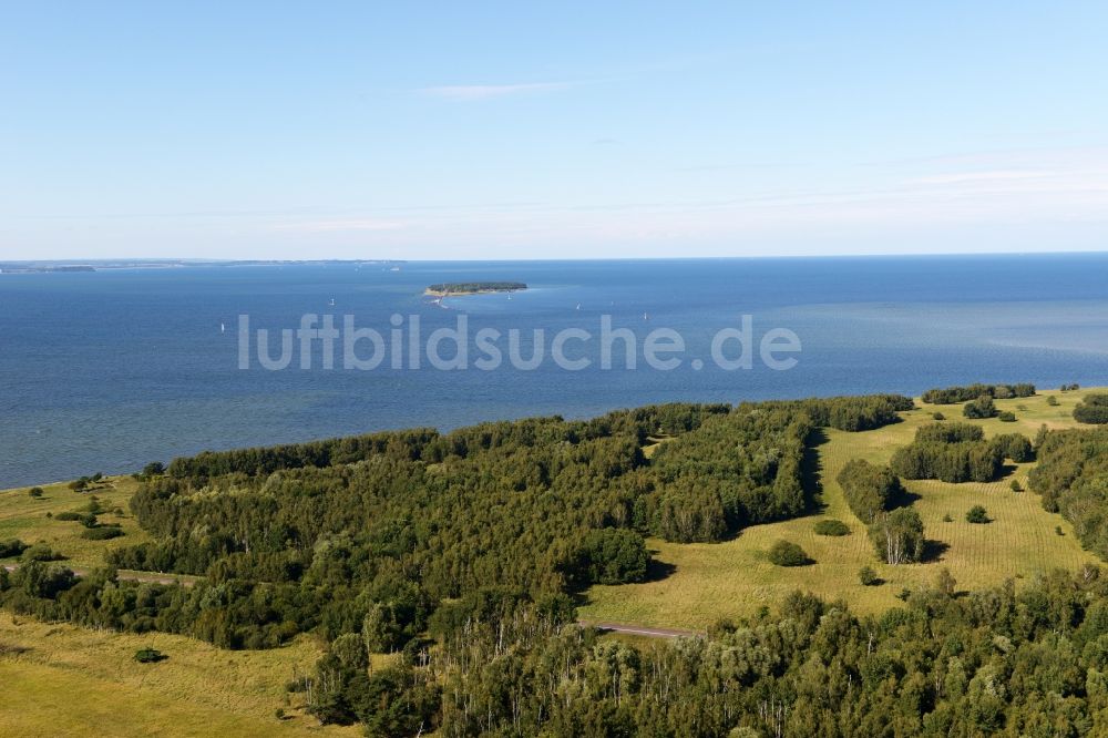 Peenemünde von oben - Baumspitzen in einem Waldgebiet in Peenemünde im Bundesland Mecklenburg-Vorpommern