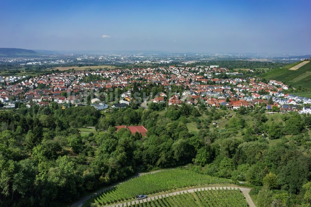 Luftaufnahme Korb - Baumspitzen in einem Waldgebiet am Stadtrand von Korb im Bundesland Baden-Württemberg