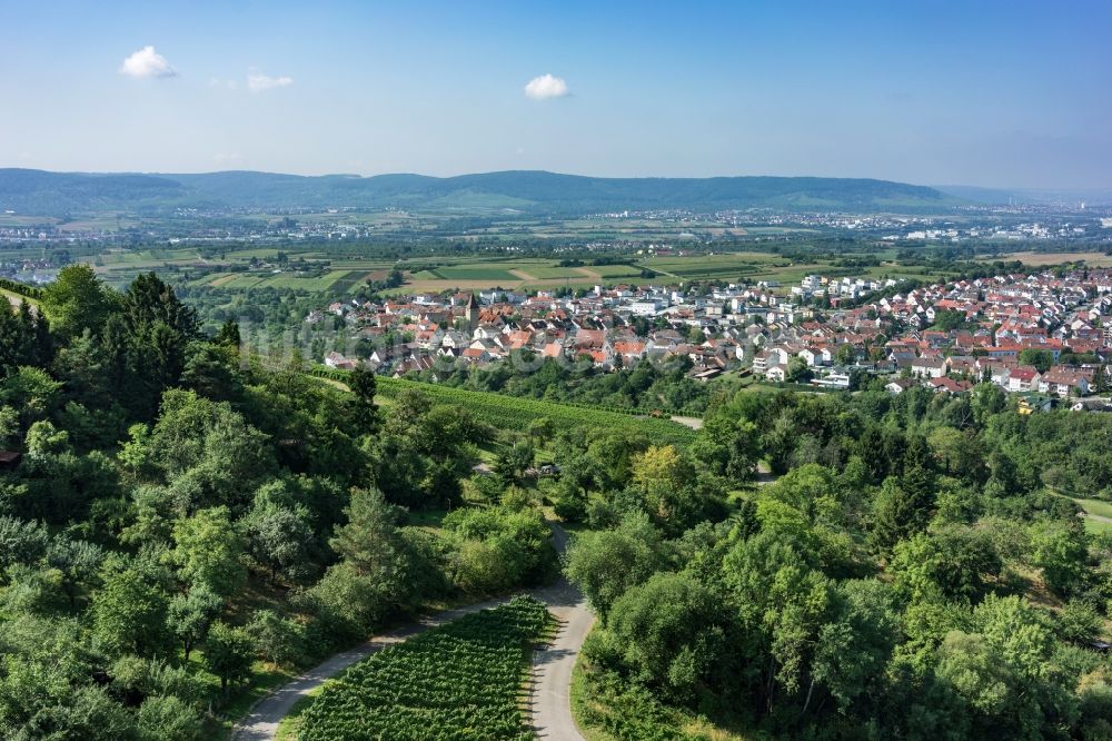 Korb von oben - Baumspitzen in einem Waldgebiet am Stadtrand von Korb im Bundesland Baden-Württemberg