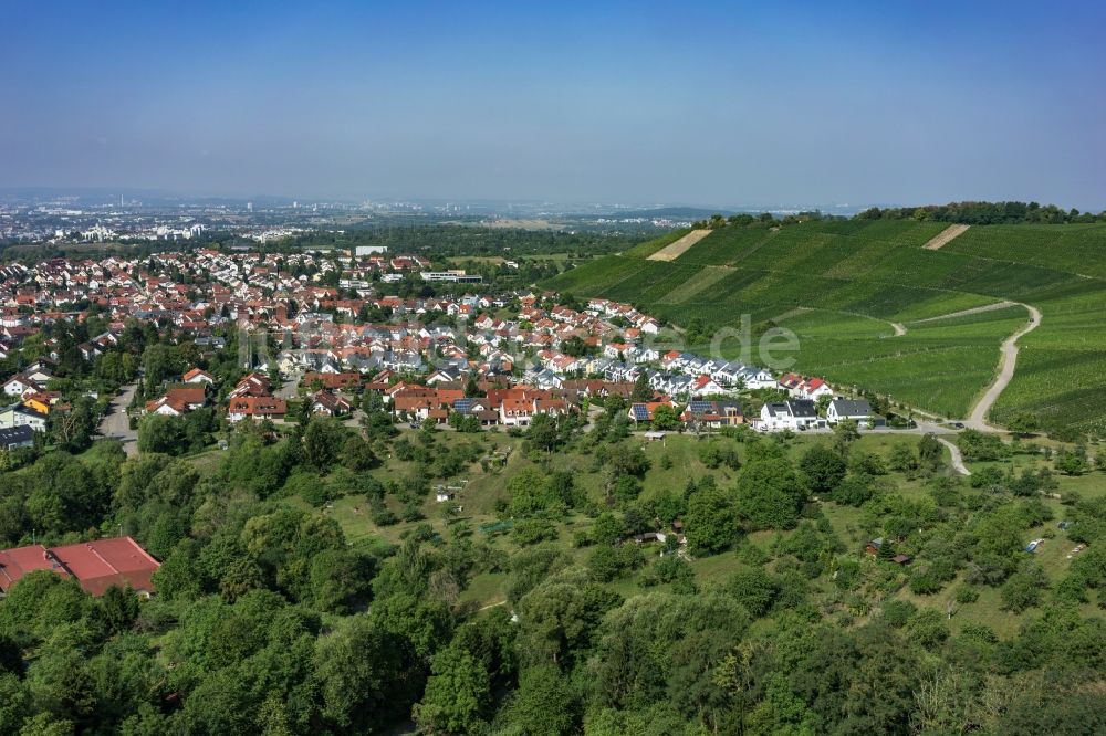 Korb aus der Vogelperspektive: Baumspitzen in einem Waldgebiet am Stadtrand von Korb im Bundesland Baden-Württemberg