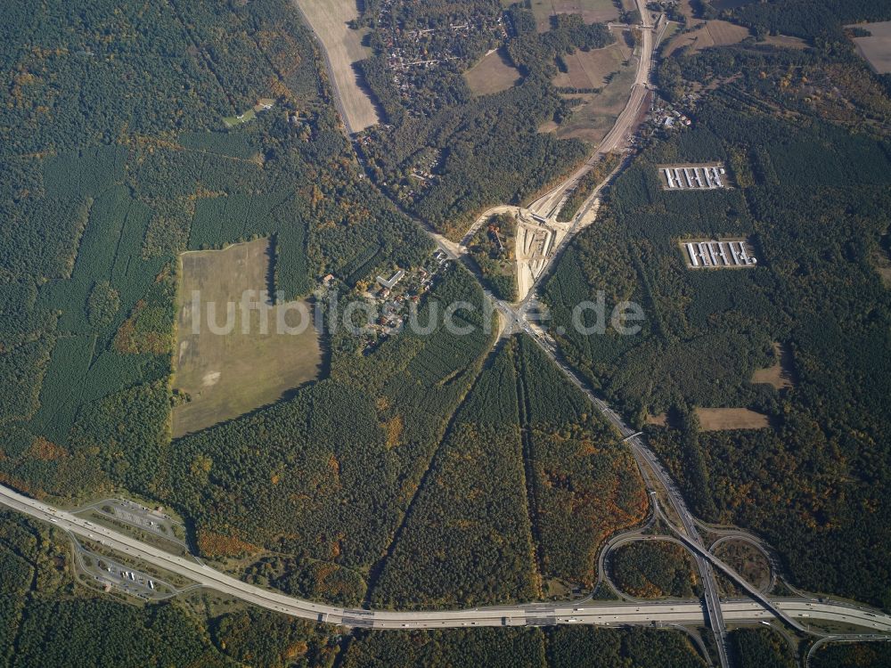 Luftbild Stahnsdorf - Baumspitzen in einem Waldgebiet in Stahnsdorf im Bundesland Brandenburg