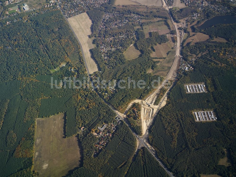 Stahnsdorf von oben - Baumspitzen in einem Waldgebiet in Stahnsdorf im Bundesland Brandenburg