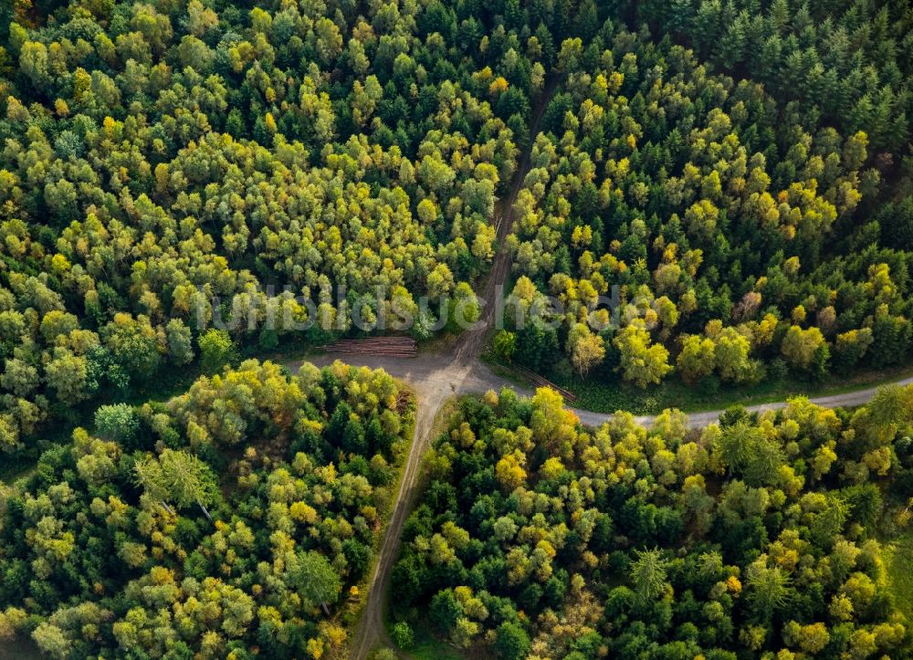 Meschede von oben - Baumspitzen in einem Waldgebiet an einer Weg- Kreuzung in Meschede im Bundesland Nordrhein-Westfalen