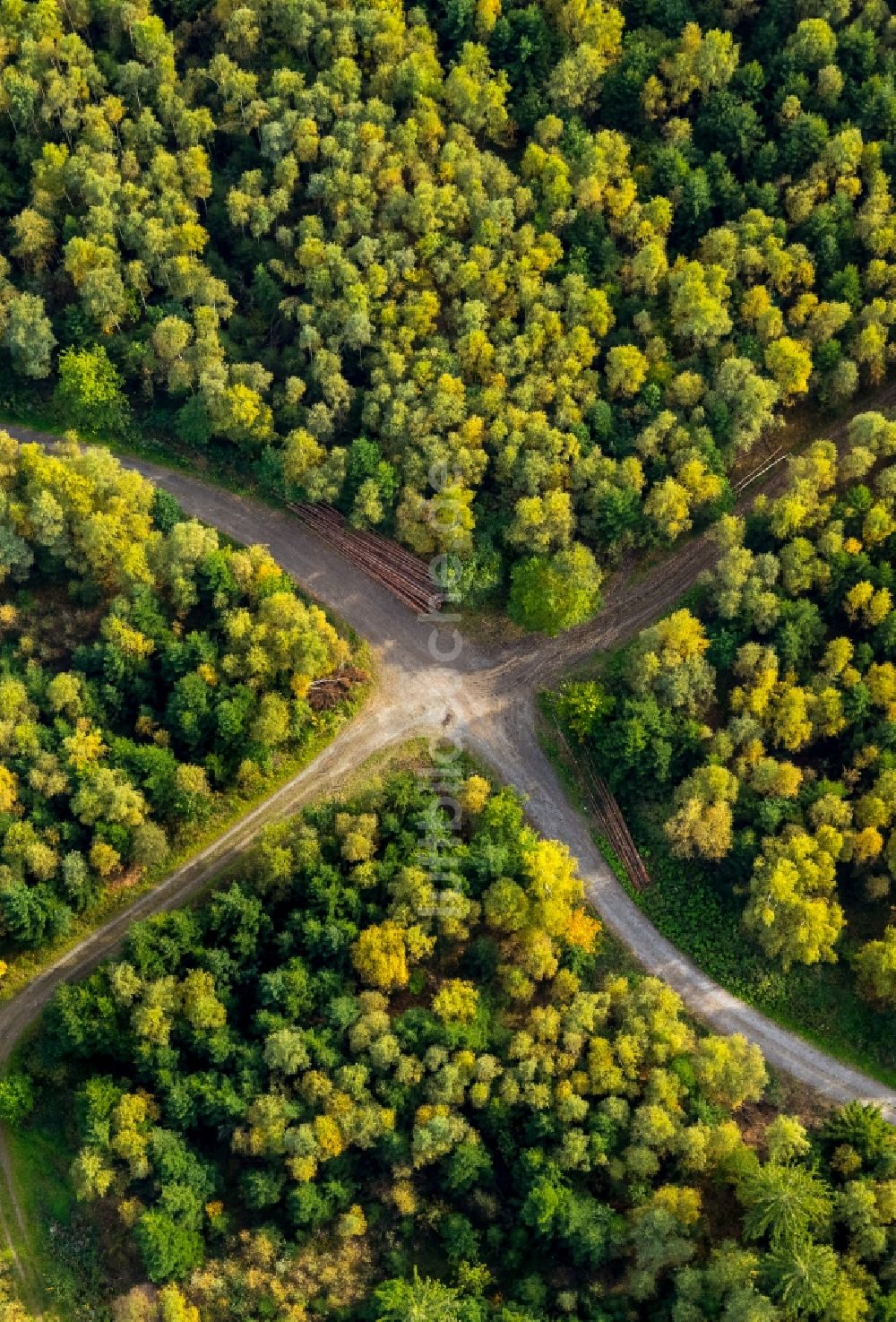 Luftbild Meschede - Baumspitzen in einem Waldgebiet an einer Weg- Kreuzung in Meschede im Bundesland Nordrhein-Westfalen