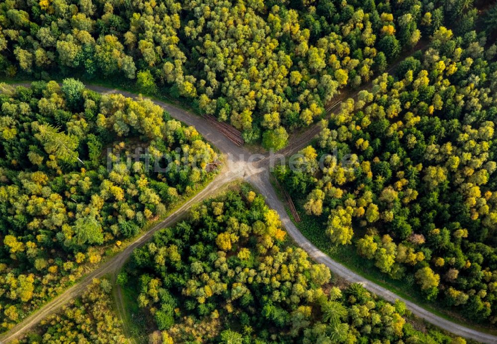 Luftaufnahme Meschede - Baumspitzen in einem Waldgebiet an einer Weg- Kreuzung in Meschede im Bundesland Nordrhein-Westfalen