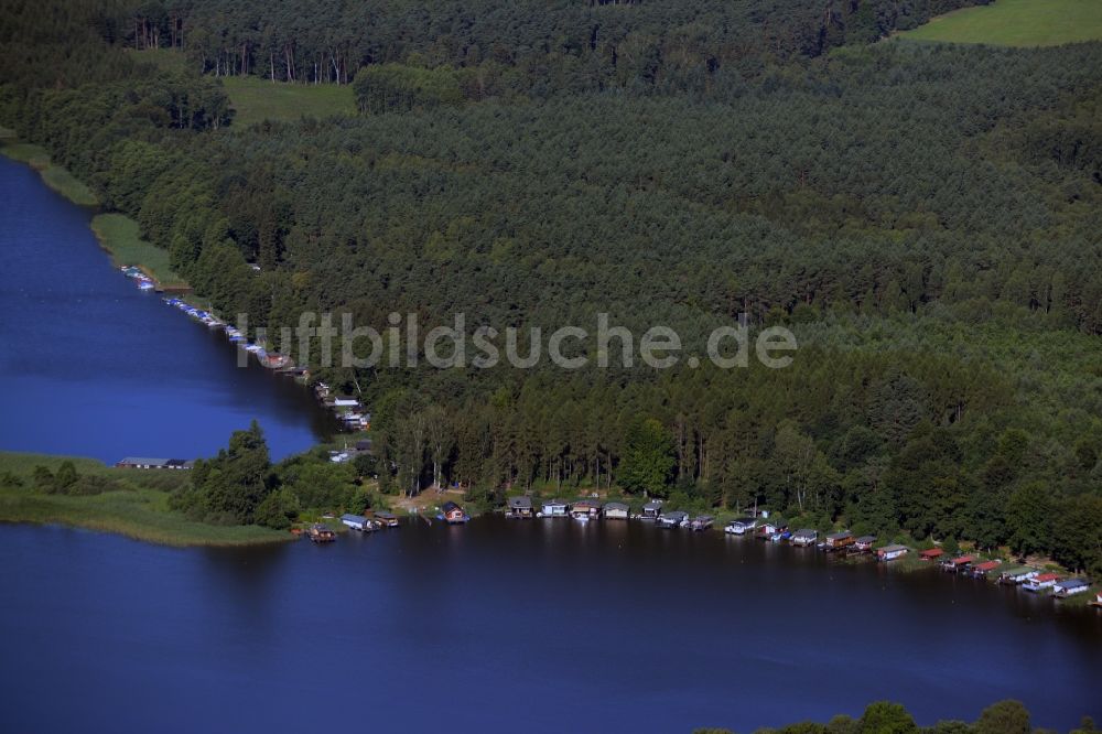 Wesenberg von oben - Baumspitzen in einem Waldgebiet in Wesenberg im Bundesland Mecklenburg-Vorpommern