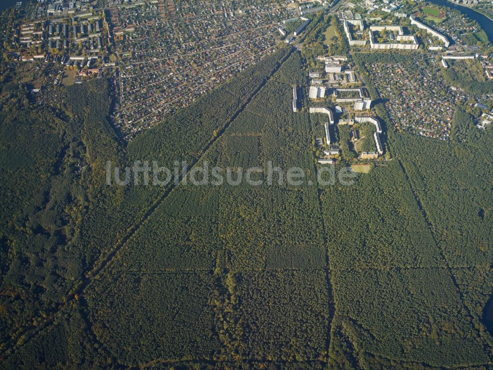 Berlin von oben - Baumspitzen in einem Waldgebiet am Wohngebiet an der Grünen Trift in Berlin