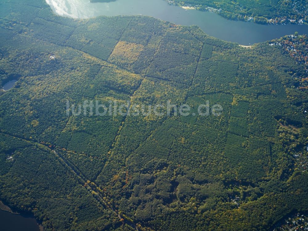 Berlin aus der Vogelperspektive: Baumspitzen in einem Waldgebiet zwischen Langer See (Dahme) und Großem Müggelsee in Berlin