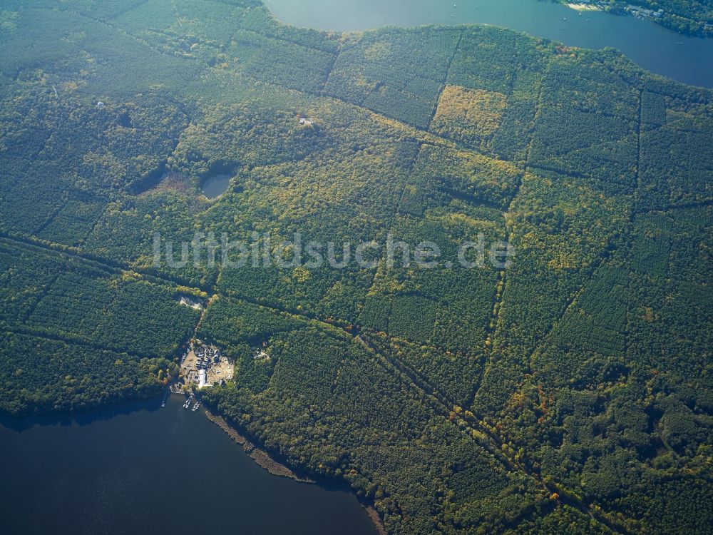 Luftbild Berlin - Baumspitzen in einem Waldgebiet zwischen Langer See (Dahme) und Großem Müggelsee in Berlin