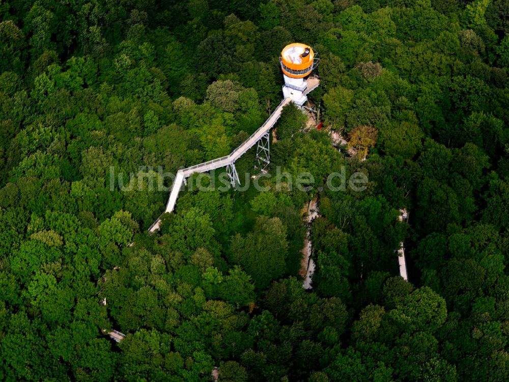 Luftbild Bad Langensalza - Baumturm im Baumkronenpfad in Thüringer Nationalpark Hainich im Bundesland Thüringen