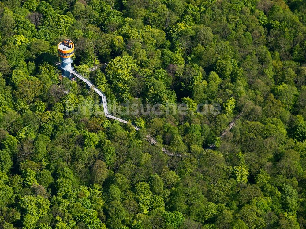 Luftaufnahme Bad Langensalza - Baumturm im Baumkronenpfad in Thüringer Nationalpark Hainich im Bundesland Thüringen