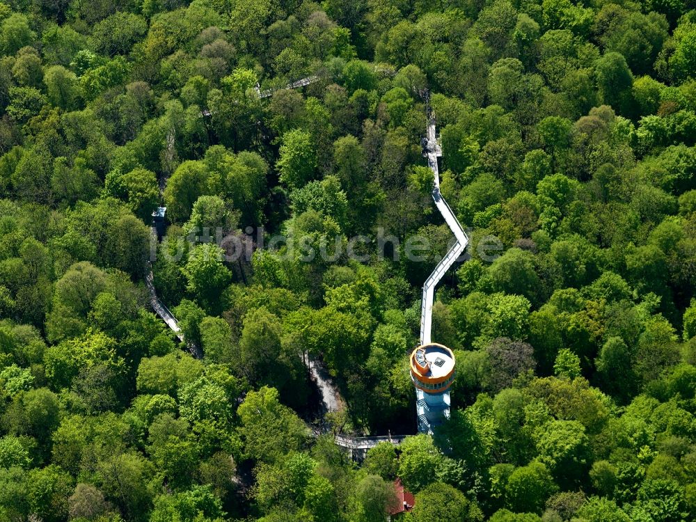 Bad Langensalza aus der Vogelperspektive: Baumturm im Baumkronenpfad in Thüringer Nationalpark Hainich im Bundesland Thüringen