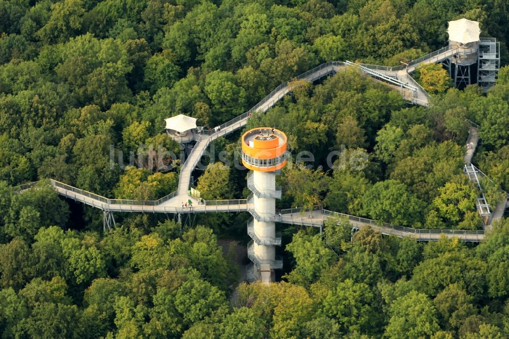 Bad Langensalza aus der Vogelperspektive: Baumturm im Baumkronenpfad in Thüringer Nationalpark Hainich im Bundesland Thüringen