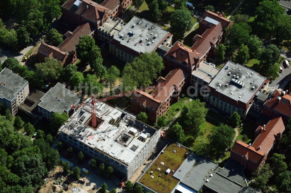 Berlin von oben - Baustelle für einen Erweiterungs- Neubau auf dem Klinikgelände des Krankenhauses Evangelisches Krankenhaus Königin Elisabeth Herzberge GmbH an der Herzbergstraße im Ortsteil Lichtenberg in Berlin, Deutschland