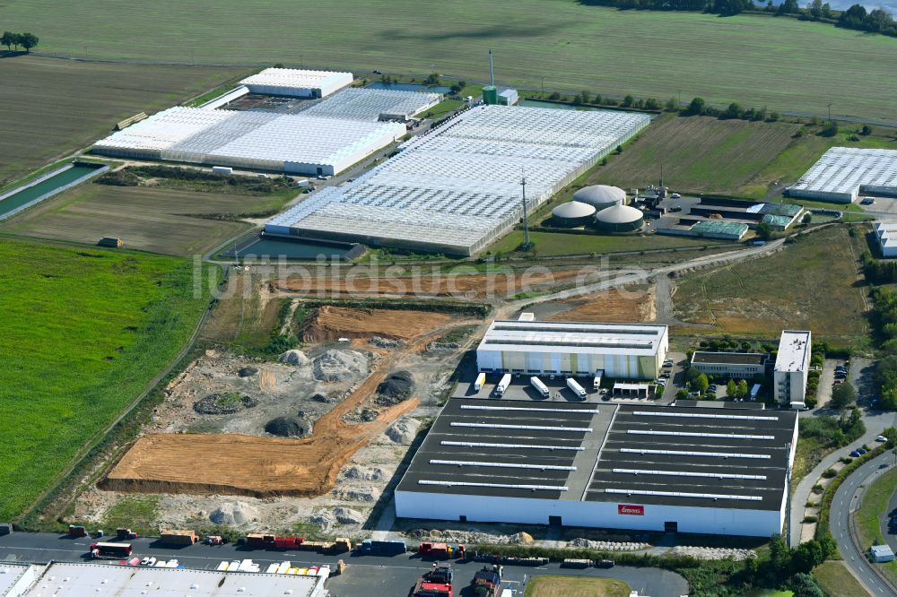 Luftbild Thiendorf - Baustelle mit Erschließungs - und Aufschüttungs- Arbeiten im Gewerbegebiet in Thiendorf im Bundesland Sachsen, Deutschland