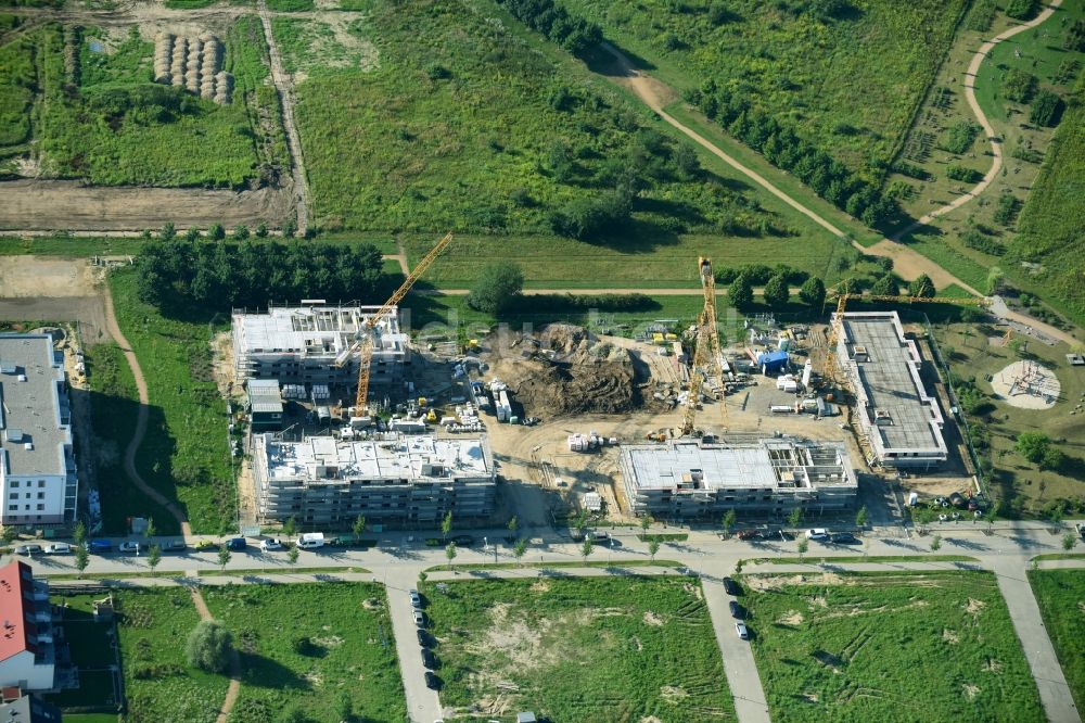 Luftaufnahme Schönefeld - Baustelle Flüchtlingsheim- und Asylunterkunfts- Gebäude an der Leonorenstraße im Ortsteil Lankwitz in Berlin, Deutschland