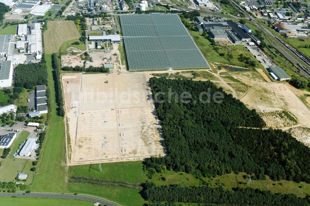 Lutherstadt Wittenberg von oben - Baustelle und Montage für Neubau- Gewächshaus- Reihen der Wittenberg Gemüse GmbH an der Hans-Heinrich-Franck-Straße in Lutherstadt Wittenberg im Bundesland Sachsen-Anhalt, Deutschland