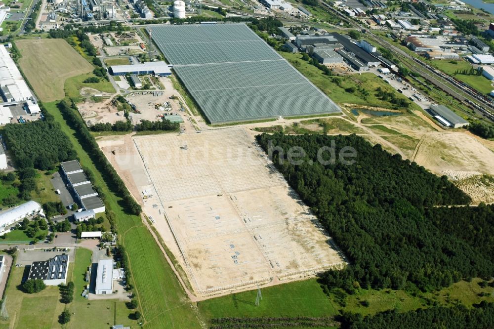 Luftaufnahme Lutherstadt Wittenberg - Baustelle und Montage für Neubau- Gewächshaus- Reihen der Wittenberg Gemüse GmbH an der Hans-Heinrich-Franck-Straße in Lutherstadt Wittenberg im Bundesland Sachsen-Anhalt, Deutschland