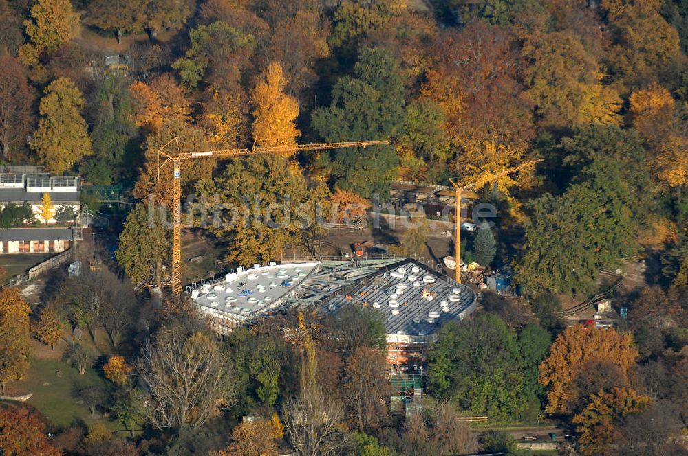 Luftbild Dresden - Baustelle des Prof. Brandes Haus im Dresdner Zoo