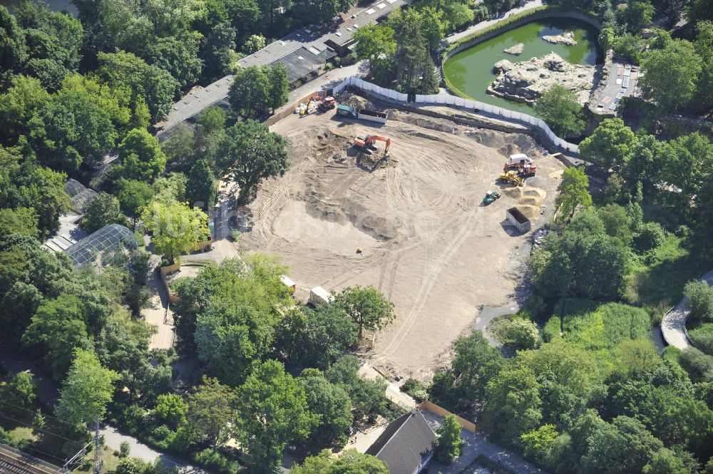 Berlin von oben - Baustelle des Vogelhauses und das Becken der Eisbärenanlage im Berliner Zoo