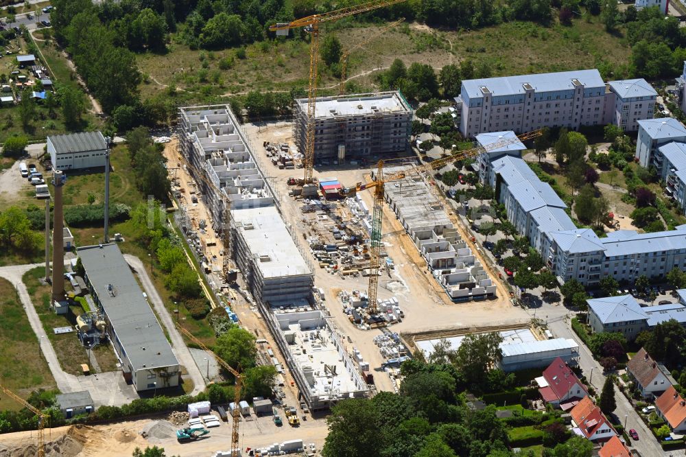 Berlin aus der Vogelperspektive: Baustelle Wohngebiet einer Mehrfamilienhaussiedlung am Hassoweg - Nelkenweg - Anne-Frank-Straße in Berlin, Deutschland